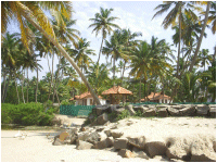 Resort view from alappuzha Arabian Sea and Pozhi (lake) meeting place 