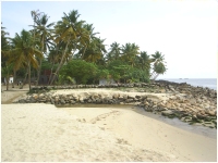 Alleppey resort front side beach